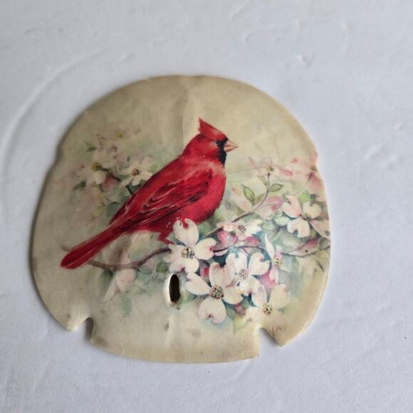 Vintage Hand Painted Sand Dollar Red Cardinal On Dogwood Blossoms 4 X 5 inches - Picture 1 of 8